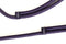 Midnight Purple